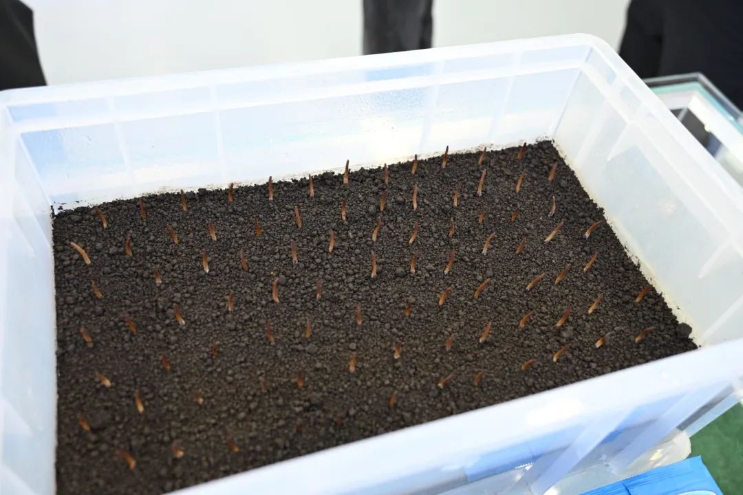 第404期｜领航班走进东土科技、东阳光，对话宜昌，解码科创基因