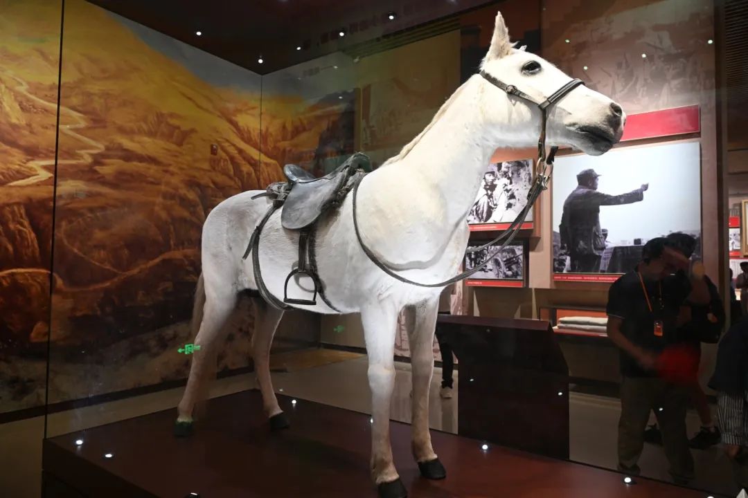 宝塔山下淬炼奋斗初心：黄鹤之星领航班走进延安圣地，传承红色基因！