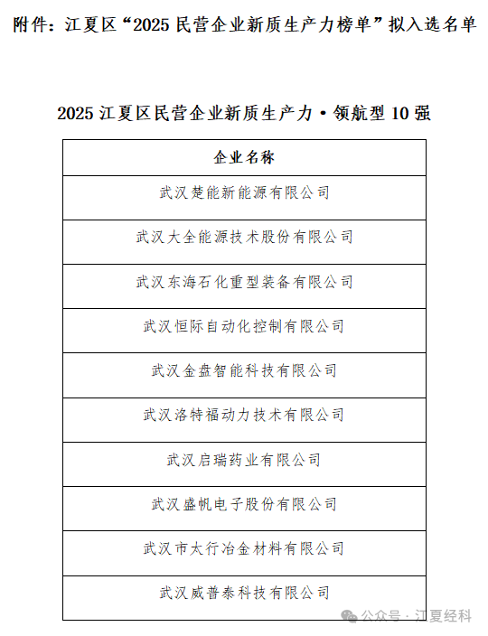 江夏区“2025民营企业新质生产力榜单”拟入选名单公示