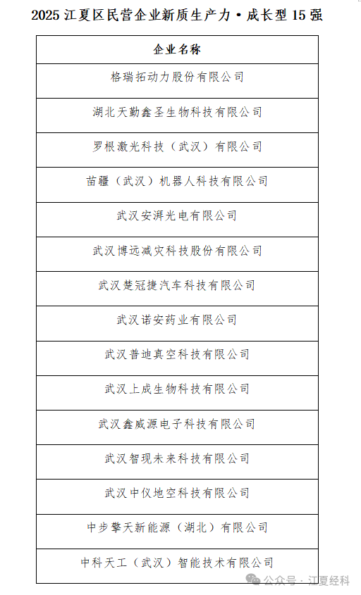 江夏区“2025民营企业新质生产力榜单”拟入选名单公示